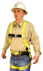 Industrial & Construction Full Body Harness 850